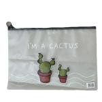 ملف شفاف برسومات صبار